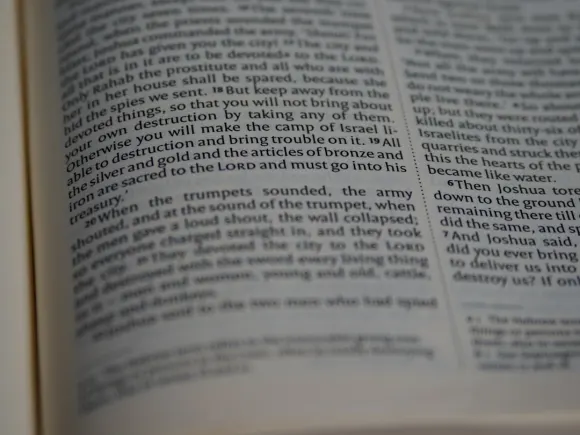 קזינו גרנד איגל תמיכה